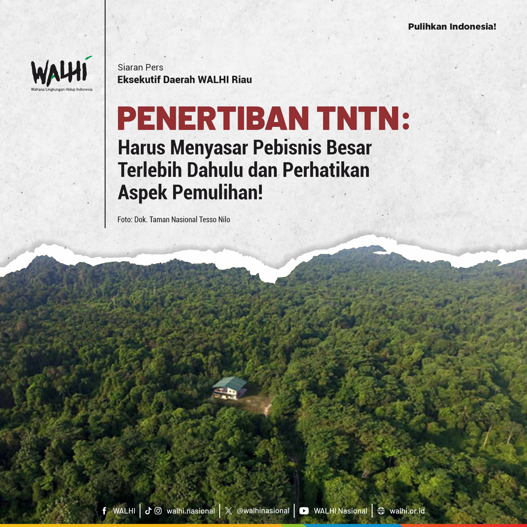 Penertiban TNTN: Harus Menyasar Pebisnis Besar Terlebih Dahulu dan Perhatikan Aspek Pemulihan!