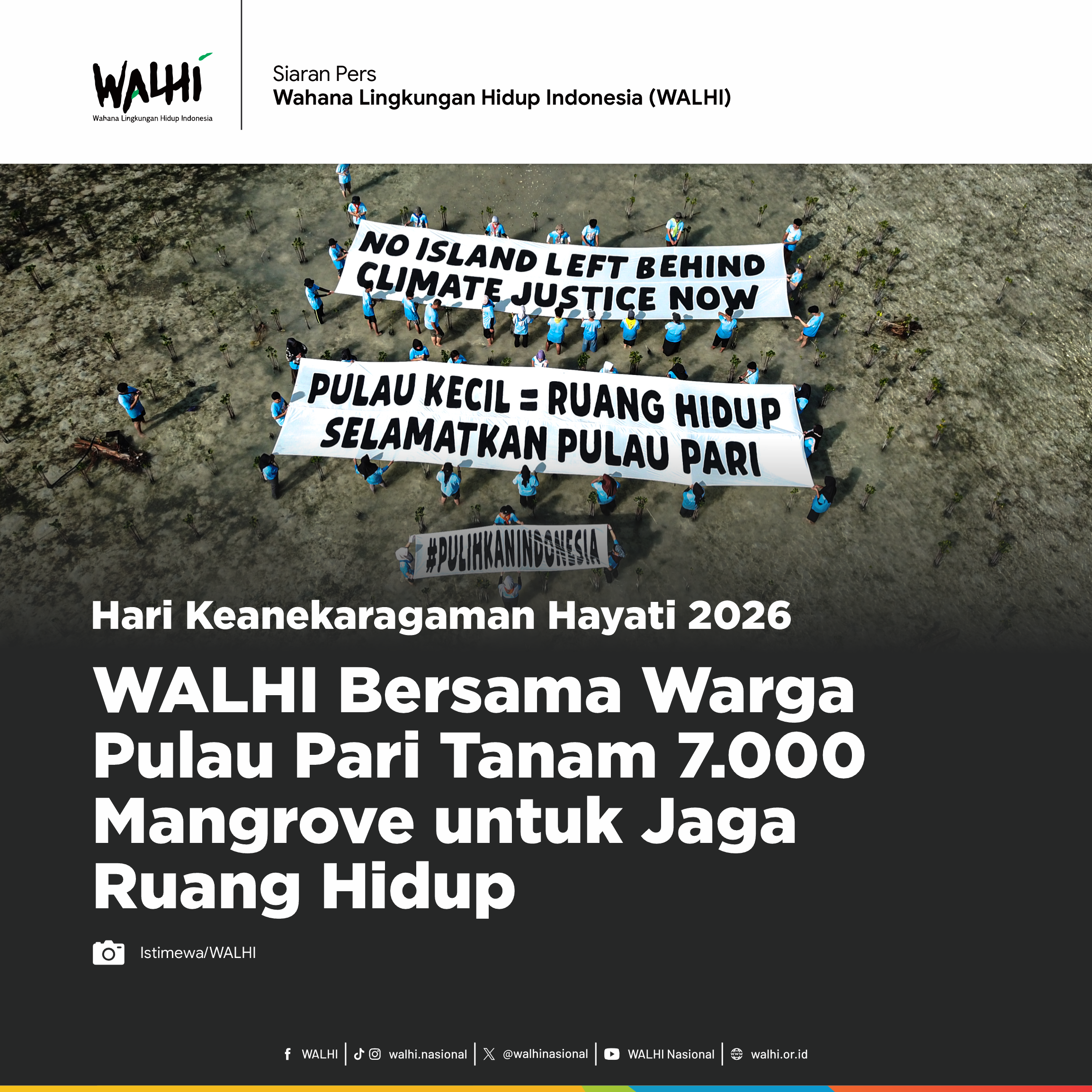 WALHI Bersama Warga Pulau Pari Tanam 7.000 Mangrove untuk Jaga Ruang Hidup