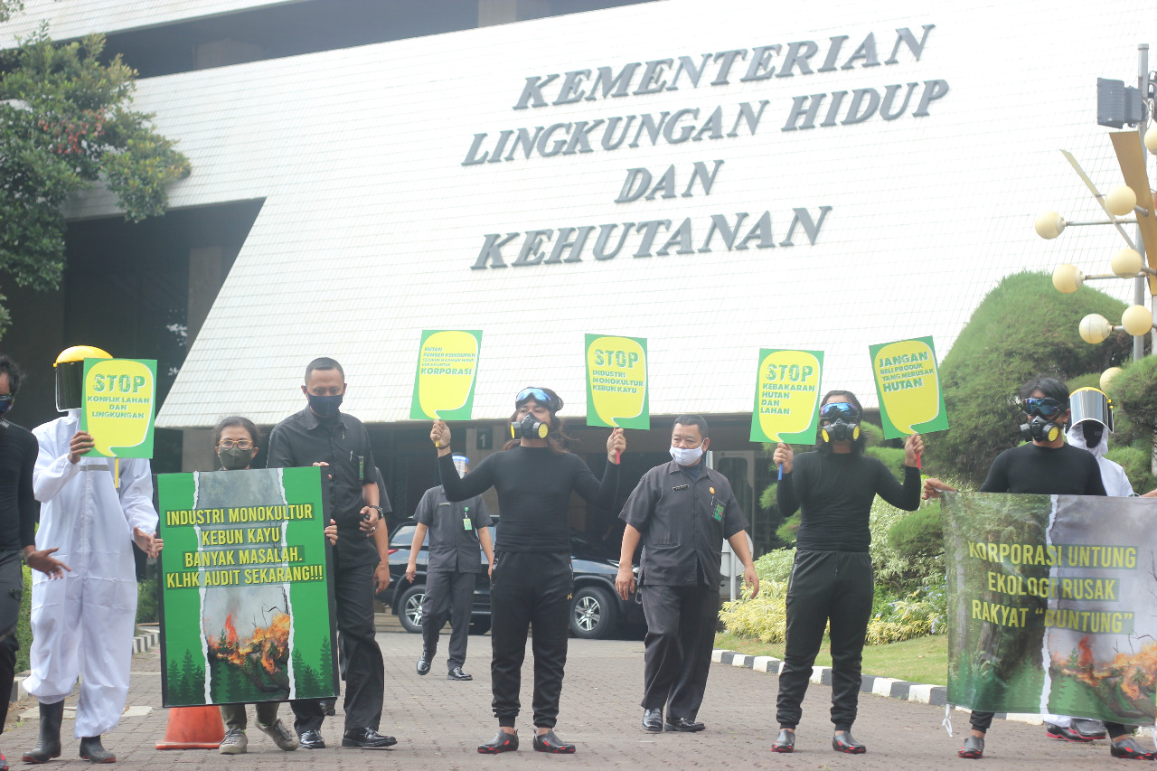 Menagih Kebijakan Korektif Kebun Kayu di Areal Kerja Hutan Tanaman Industri 