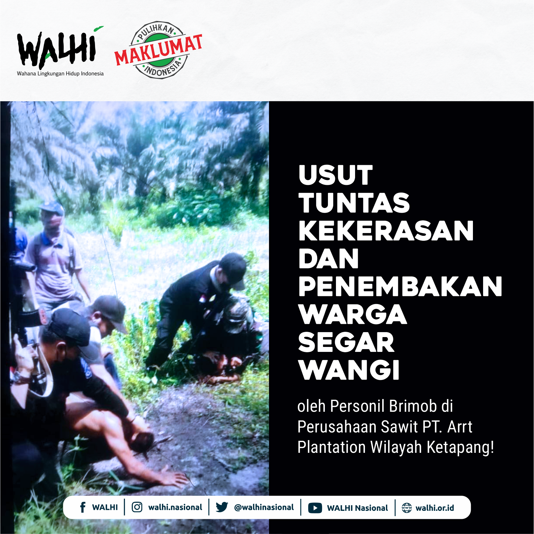 Usut Tuntas Kekerasan dan Penembakan Warga Segar Wangi oleh Personil Brimob di Perusahaan Sawit PT. Arrtu Plantation Wilayah Ketapang!