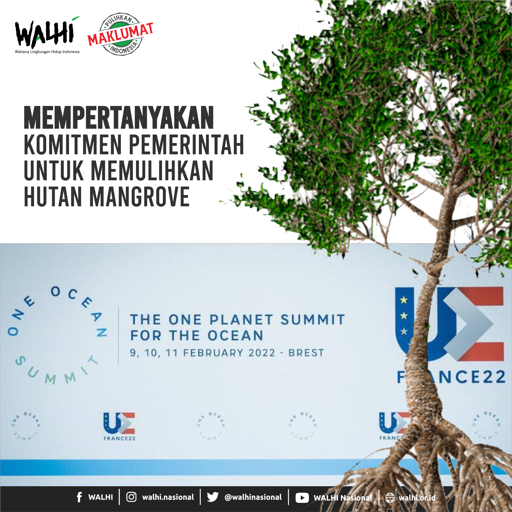 Mempertanyakan Komitmen Pemerintah untuk Memulihkan Hutan Mangrove