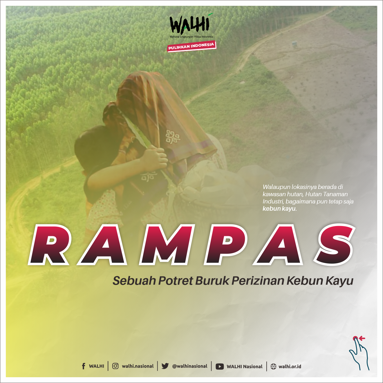Rampas, Sebuah Potret Buruk Perizinan Kebun Kayu (Infografis)