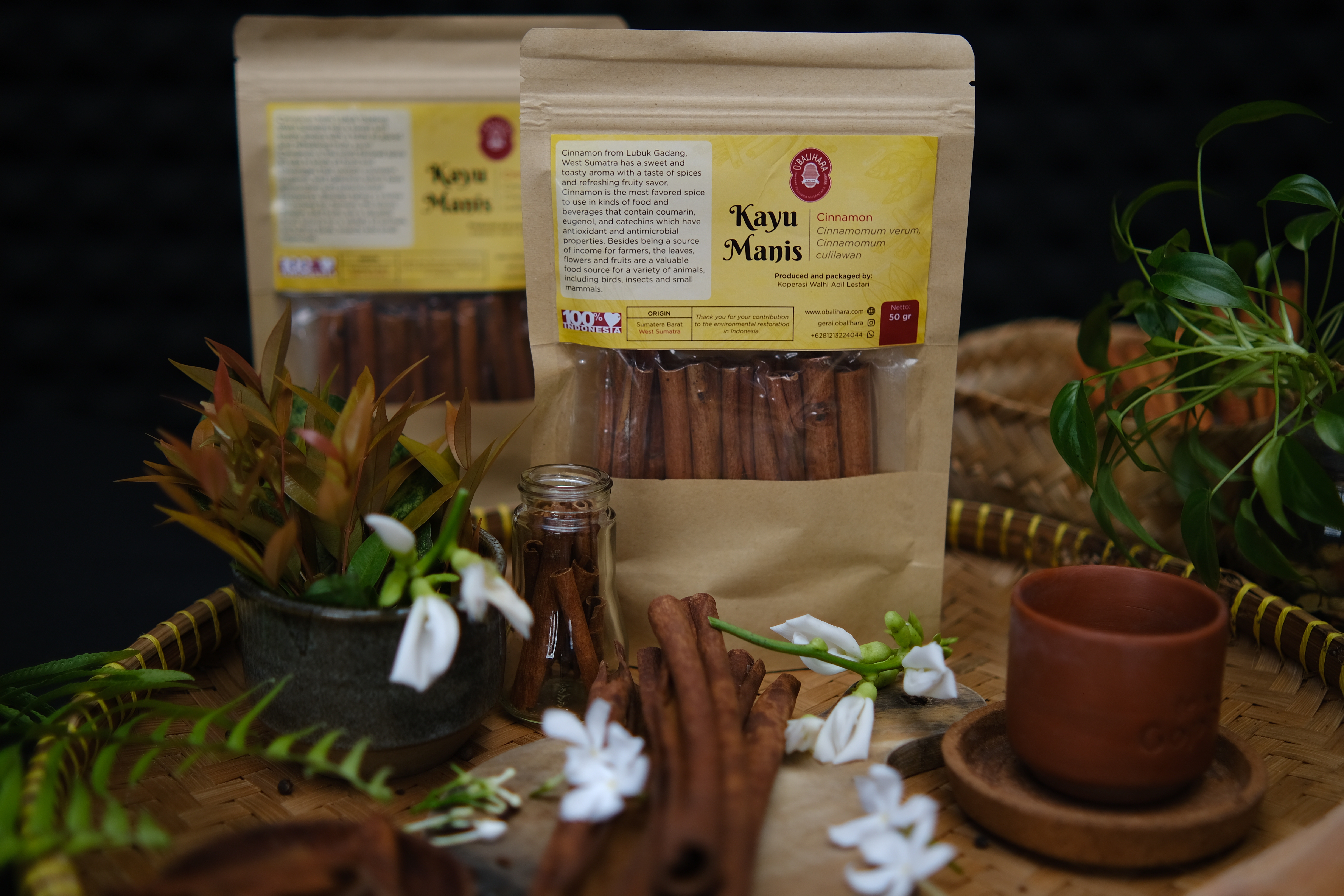 The Nusantara Economy and Sustainable Ecosystems: A Case Study of Cinnamon in Tanjung Alam Village