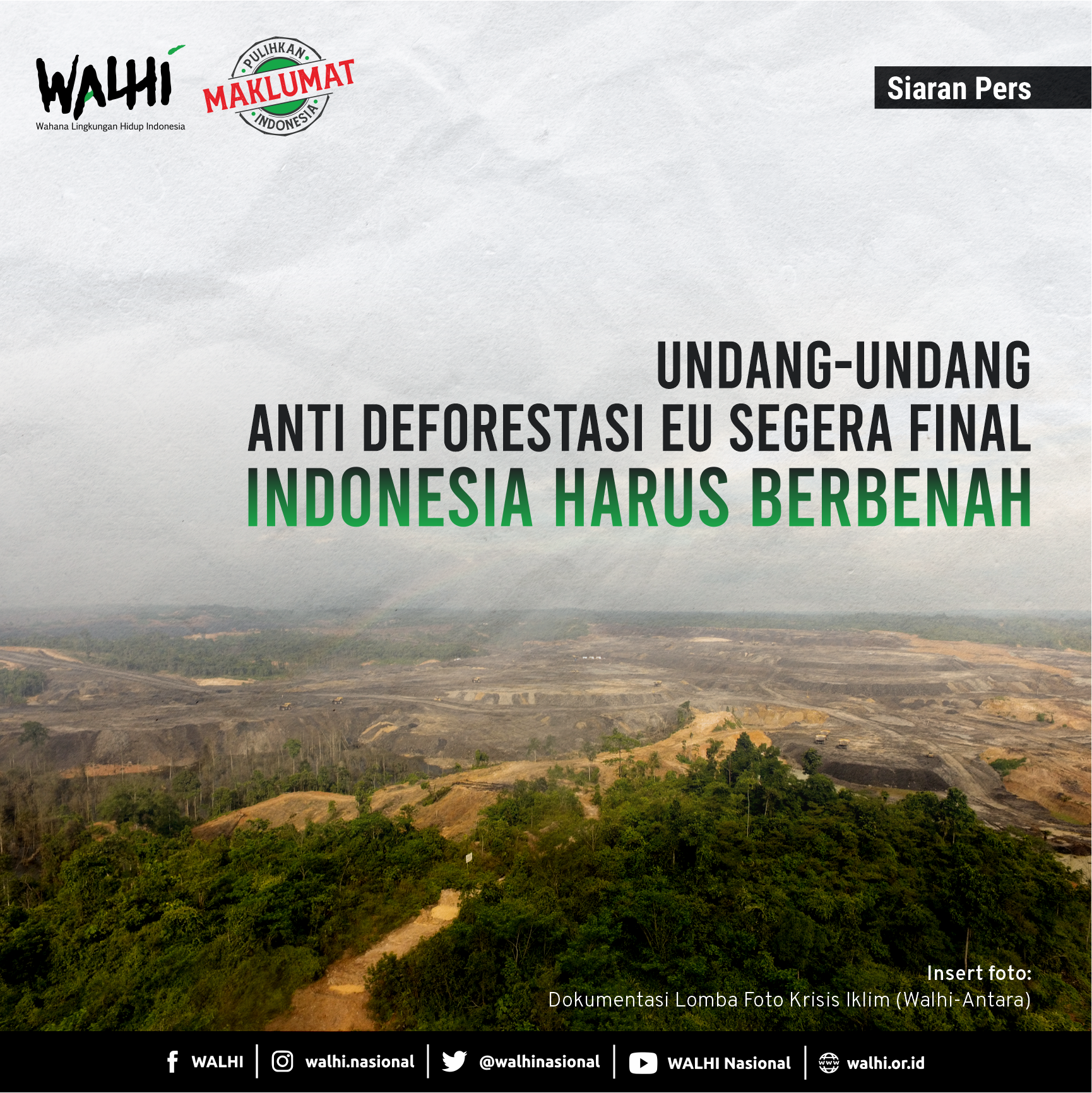 Undang-undang Anti Deforestasi EU Segera Final, Indonesia Harus Berbenah