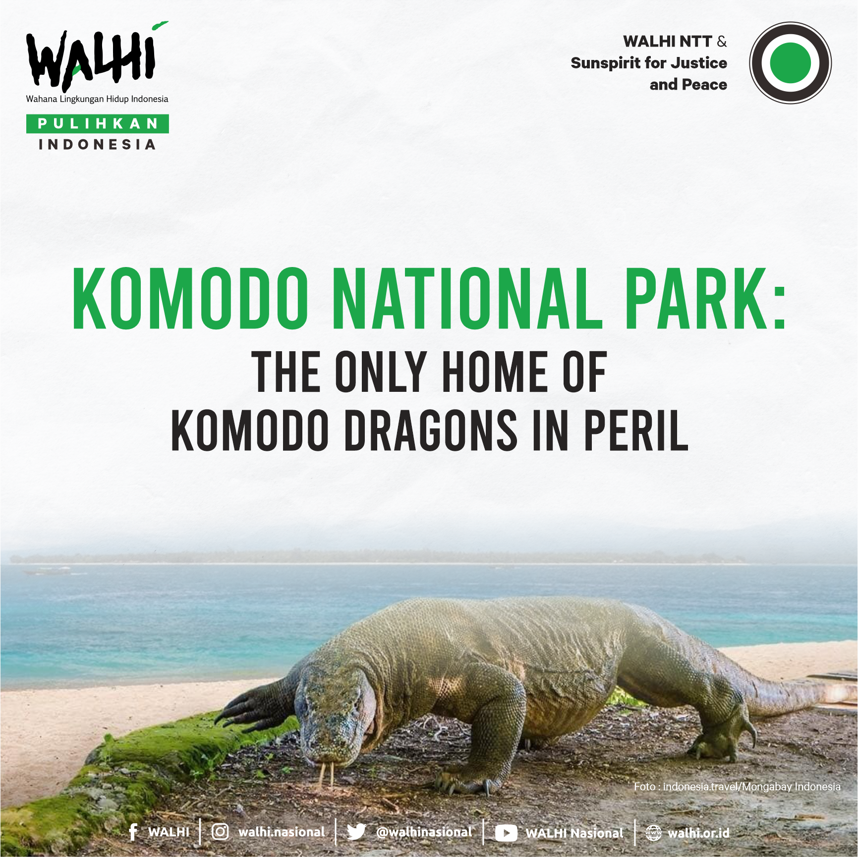 Komodo National Park: The Only Home of Komodo Dragons in Peril