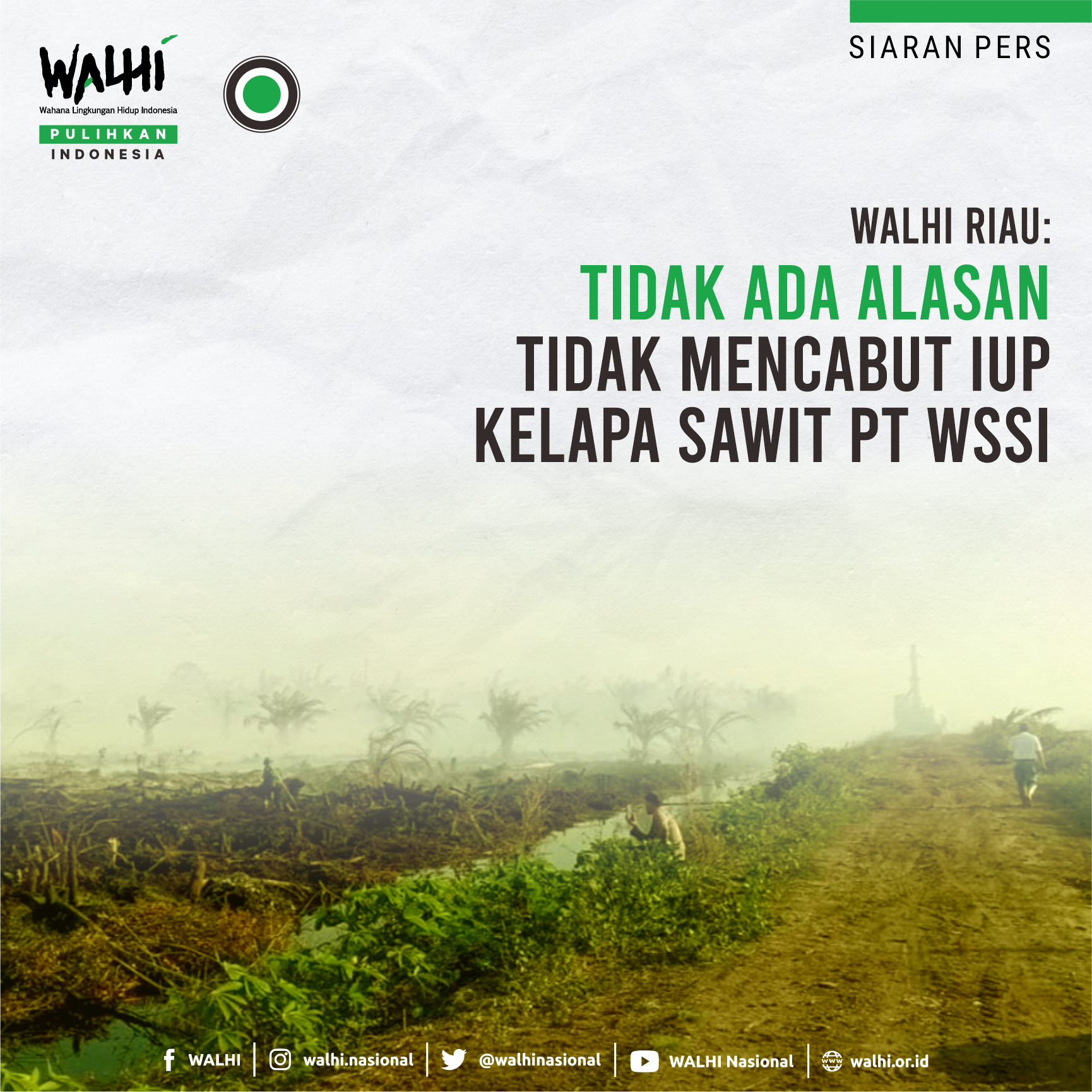 Tidak Ada Alasan Tidak Mencabut IUP Kelapa Sawit PT WSSI