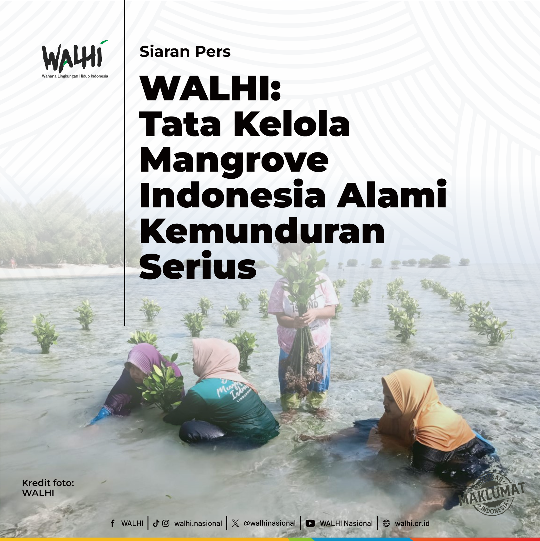 WALHI: Tata Kelola Mangrove Indonesia Alami Kemunduran Serius