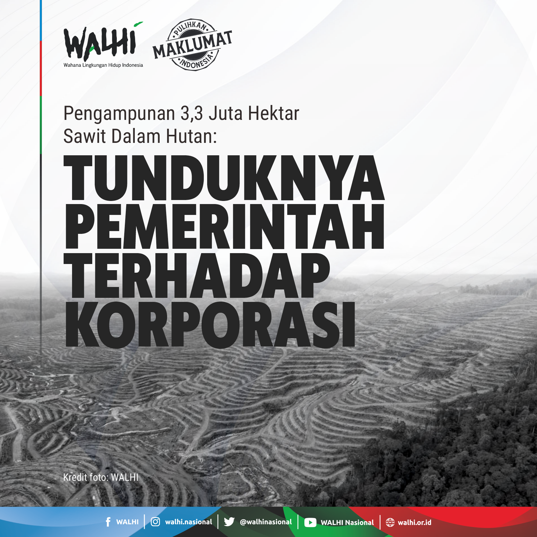 Pengampunan 3,3 Juta Hektar Sawit Dalam Hutan: Tunduknya Pemerintah Terhadap Korporasi