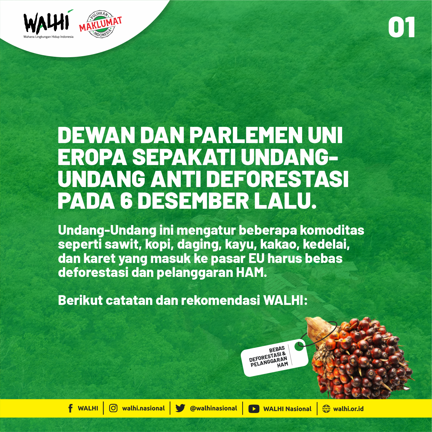 UU Anti Deforestasi EU Disahkan, Begini Catatan WALHI