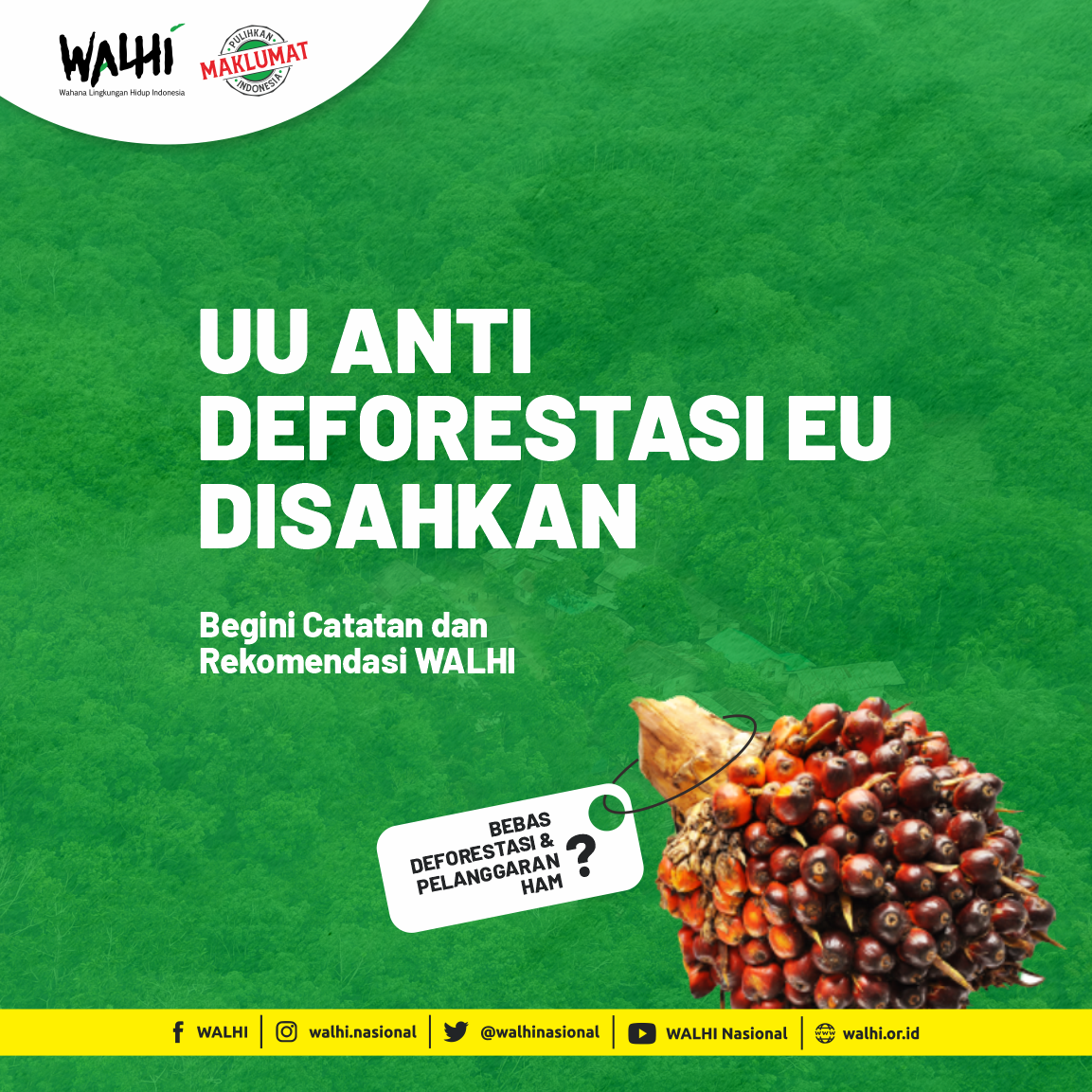 UU Anti Deforestasi EU Disahkan, Begini Catatan dan rekomendasi WALHI